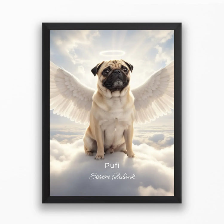 Andělské portréty domácích mazlíčků🪽