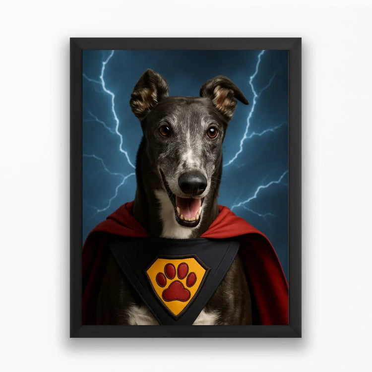 Portréty domácích mazlíčků: kurzy a další